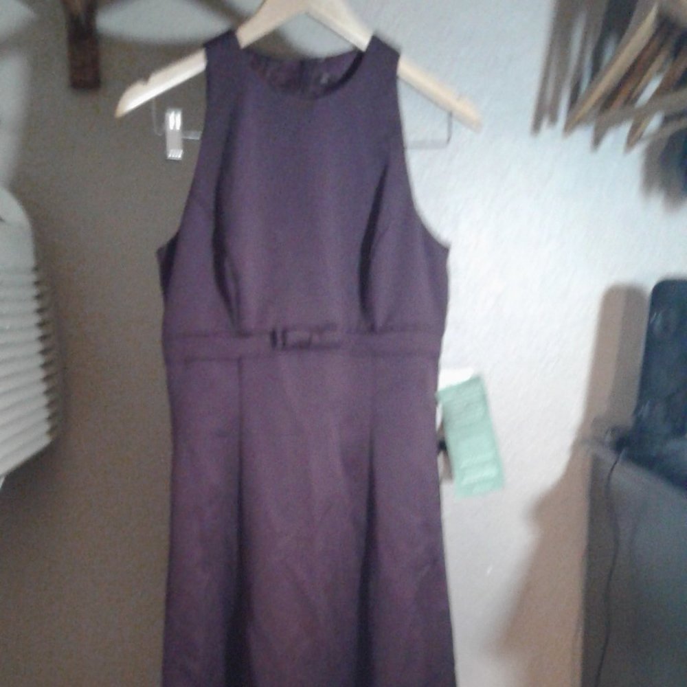 Jessica McMlintock plum maxi new